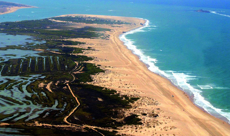 
			      Vista aérea del Parque Natural Bahía de Cádiz y sus esteros.			    
			  