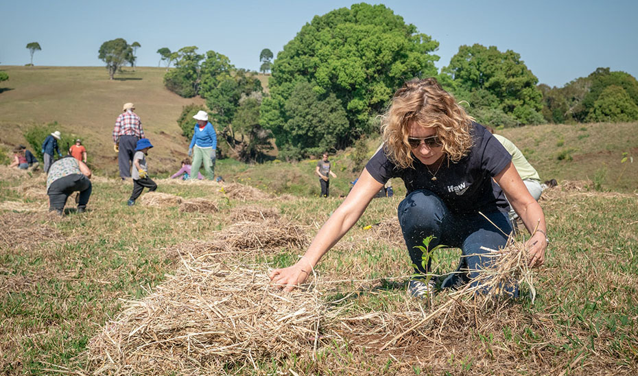 La Junta reafirma su apuesta por el voluntariado y el aprendizaje servicio desde edades tempranas