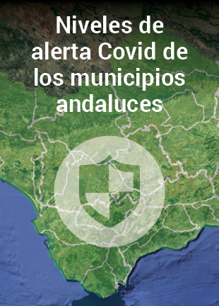  Niveles de alerta Covid de los municipios andaluces