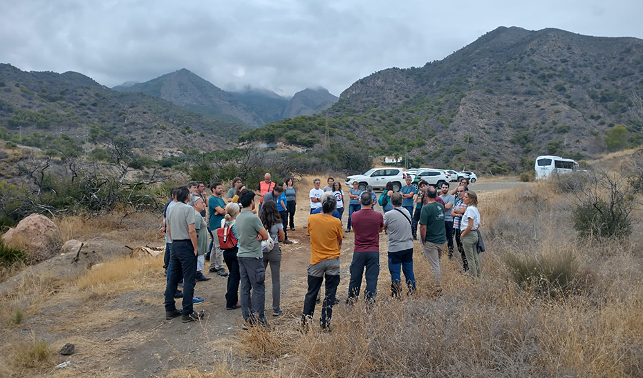 La Junta promueve la investigación forestal y la adaptación de los montes de Andalucía al cambio climático