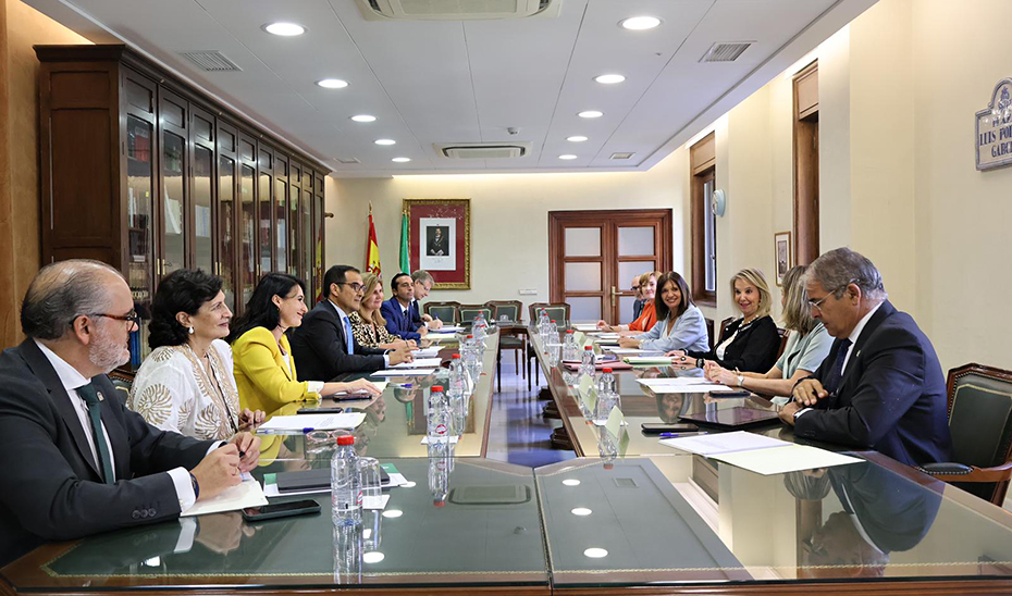 
			      José Antonio Nieto y Ana Tárrago, con sus respectivos equipos, durante la reunión de la Comisión Mixta Junta-Fiscalía.			    
			  