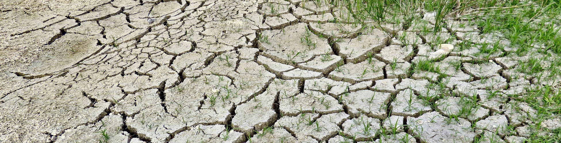 Suelo agrietado por la sequía